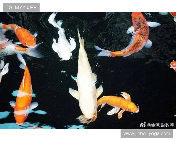 开运官网app下载为你提供专业的风水布局和运势分析,助力事业家庭双丰收 开运官网app下载为你提供专业的风水布局和运势分析,助力事业家庭双丰收