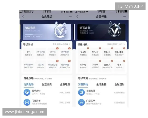 全面解析开云会员等级制度，了解不同等级的专属特权与提升方法